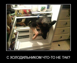 Почему намерзает задняя стенка холодильника